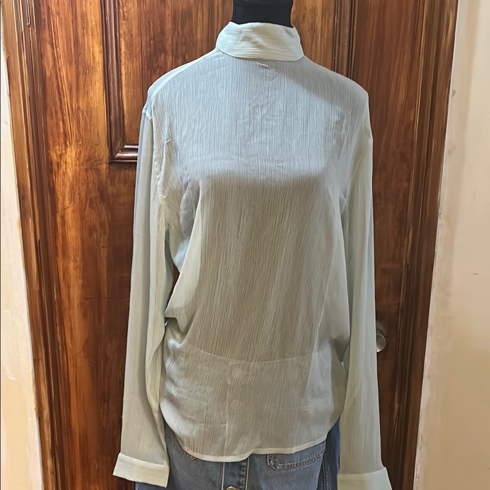 Sheer Mint Green Women's Top